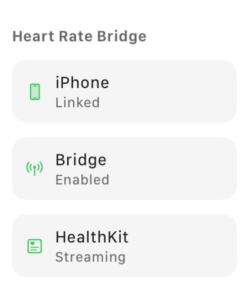 Apple Watch status screen showing phone link, bridge, and HealthKit state.